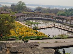 -广州莲花山旅游区