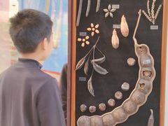 -中国农业博物馆
