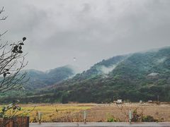 -东海半边山旅游度假区