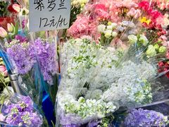 -循礼门鲜花花市(武汉循礼门店)