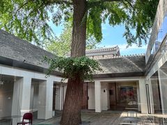 -自如ZSPACE四合院艺术餐厅