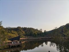 -神光山国家森林公园