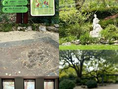 -中国茶叶博物馆(双峰馆区)