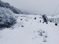 -太子岭滑雪场