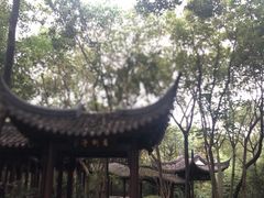 -上海佘山国家森林公园天马山园