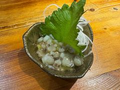 -日吉丸·鸟将军炭火融合酒馆(中央大街店)