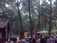 -坝上草原大汗行宫旅游景区