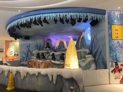 -帝企鹅自助餐厅•儿童岛•真企鹅(长隆企鹅酒店)