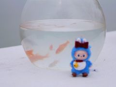 -洪泽湖古堰景区