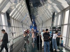 -上海环球金融中心云端足球盛典