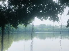 -三水森林公园