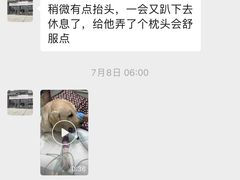 -立德动物医院·重症转诊·24H夜诊·CT·心脏彩超(顺德中心分院)