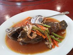 红烧石斑鱼-新金盛·海鲜酒楼(盐田店)