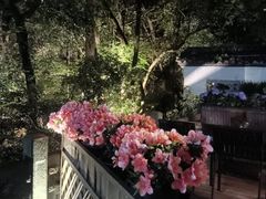 -宋宴(虎跑店)