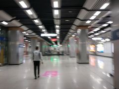 -范湖(地铁站)