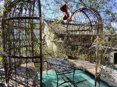 -喵屿·大理花园猫咖