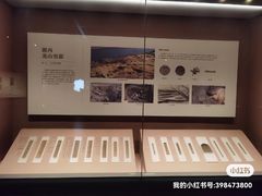 -长沙简牍博物馆