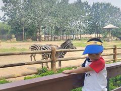 -大连森林动物园