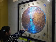 -上海昆虫博物馆