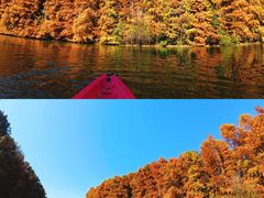 -上海海湾国家森林公园