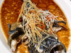 -云海肴·汽锅鸡·云南菜(南强街店)