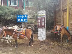 -米堆冰川