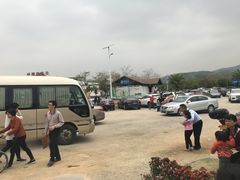 -天适樱花悠乐园