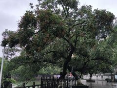 -冯子材故居