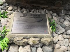 -陕西自然博物馆