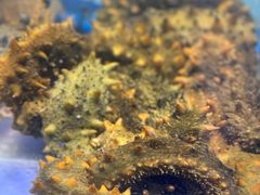 -小螺号海鲜·地道鲁菜(泉城广场店)