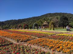 -广州市石门国家森林公园