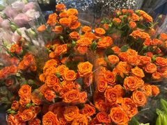 -循礼门鲜花花市(武汉循礼门店)