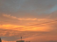 -洱海月湿地公园