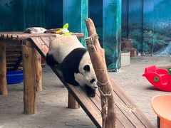 -沈阳森林动物园