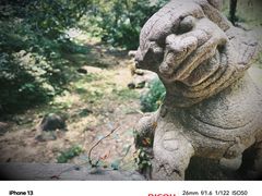 -惠山国家森林公园