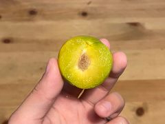 捏着硬的青果-歎雪糕低糖低脂Gelato冰淇淋