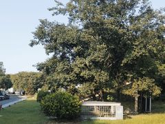 -世纪缘湖滨花园酒店(玄武湖店)