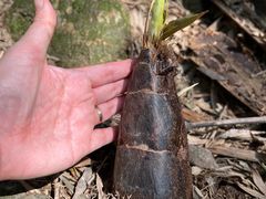 -会稽山峡洞漂流-上青古道