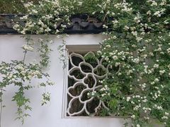 -西园寺