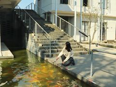 -美的鹭湖森林度假区