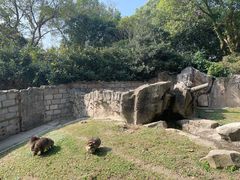 -上海野生动物园