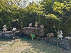 -苏州太湖国家湿地公园