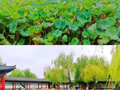 -济南大明湖景区
