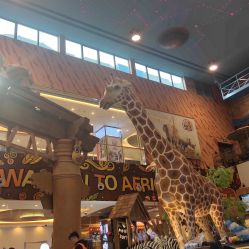 -卡通尼·Safari非洲探索乐园·生日会(金桥国际商业广场店)