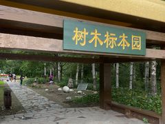 -黑龙江省森林植物园