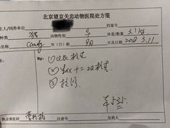 -瑞派·关忠动物医院·异宠专科·犬猫肿瘤·皮肤专科(望京店)