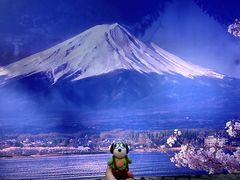 -徐家汇源景区-衡山坊