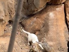 -昆明动物园