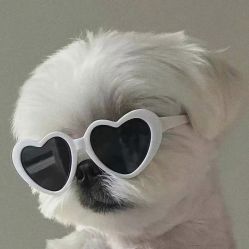 -Oasis Beauty水磨坊科技美肤中心