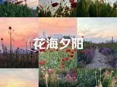 -径山花海